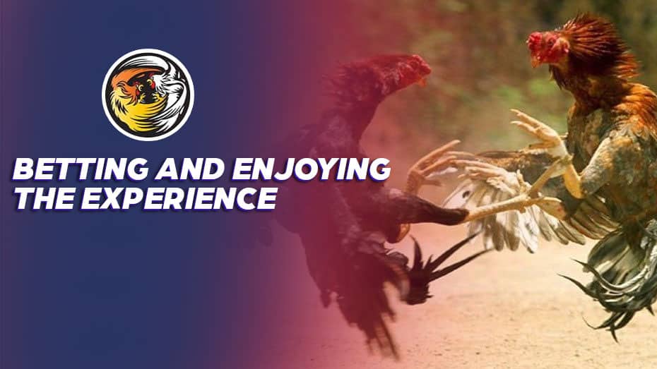 sg777 ph where can i bet on boxing